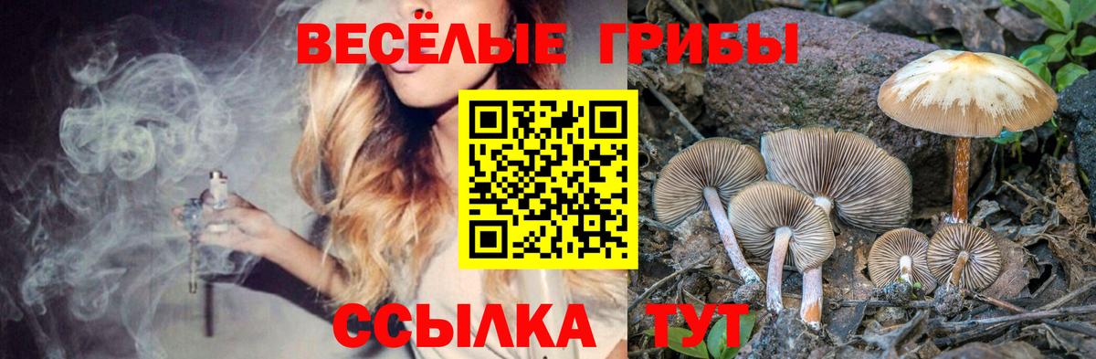 Псилоцибиновые грибы мицелий  Псилоцибиновые грибы GOLDEN TEACHER  Вход с VPN  Невинномысск 